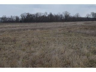 Property photo 44 - 127 Acres Offered in 8 Tracts - Allen & Dekalb County Land